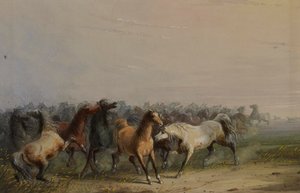 Wilde Pferde von Alfred Jacob Miller