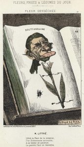 Verwelkte Blume: Karikatur auf Littré - Illustration vom 01.02.1871 in „Blumen, Früchte und Gemüse des Tages“ von Alfred Le Petit