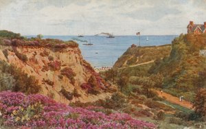 Alum Chine, Bournemouth von Alfred Robert Quinton