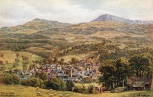 Dolgelley und Cader Idris