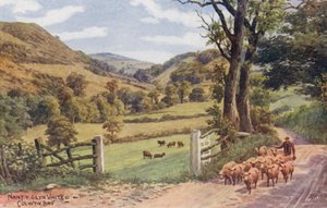 Nant Y Glyn Tal, Colwyn Bay