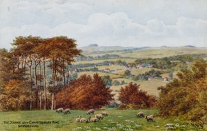 Die Downs mit Chantonbury Ring, bei Worthing