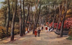 Der Pinienweg, Bournemouth