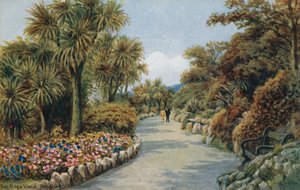 Der Felsenweg, Torquay