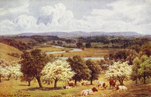 Das Tal von Evesham von Alfred Robert Quinton