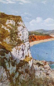Weiße Klippe, Seaton