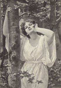 Echo von Alfred Seifert
