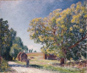 Eine Lichtung im Wald, 1895