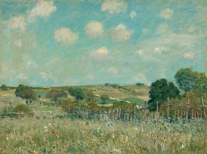 Wiese, 1875 von Alfred Sisley