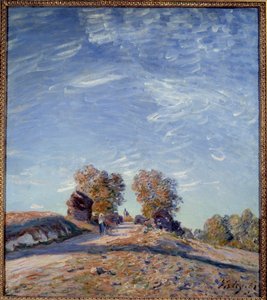 Pfad, der zur Sonne führt
