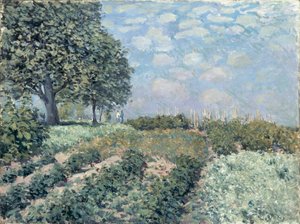 Die Marktgärten von Alfred Sisley