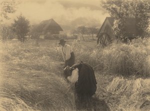 Früher Morgen von Alfred Stieglitz
