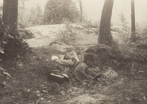 Emmy Obermeyer, Tea Island, Lake George von Alfred Stieglitz