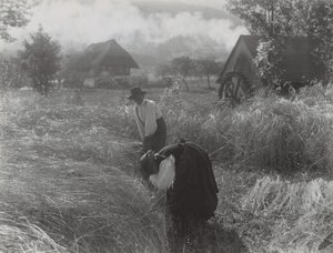 Ernte im Schwarzwald von Alfred Stieglitz