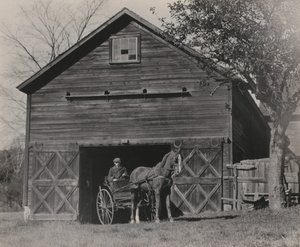 Pferd und Kutsche von Alfred Stieglitz