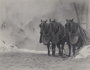 Pferde, New York von Alfred Stieglitz
