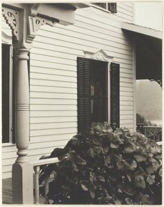 Haus und Weinblätter