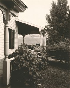 Haus und Weinblätter, 1934