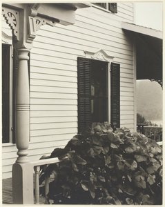 Haus und Weinblätter, 1934