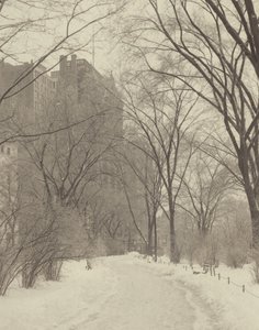 Im Park von Alfred Stieglitz
