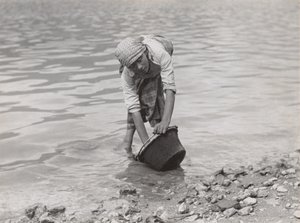 Kesselreiniger, Comer See von Alfred Stieglitz