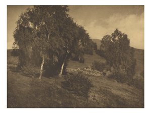 Landschaft, Tirol