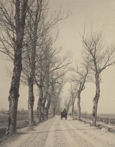 Novembertage von Alfred Stieglitz