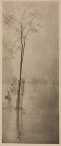 Frühlingsschauer von Alfred Stieglitz