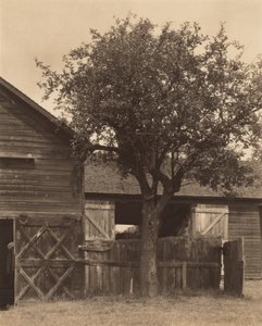 Die Scheune von Alfred Stieglitz