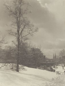 Winter (Central Park) von Alfred Stieglitz