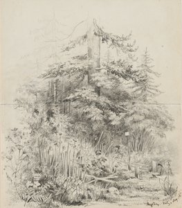 Indianischer Begräbnisplatz, Oregon, 1841