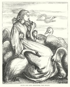 Die wilden Schwäne von Hans Christian Andersen