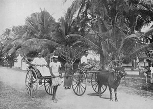 Rikscha und Rennwagen, ca. 1890