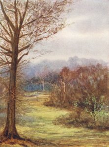 New Forest: Ein Blick auf die Brockenhurst Road, früher Frühling von Alice Julia Argles