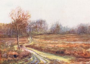 New Forest: Karrenweg über das Moor, Später November von Alice Julia Argles