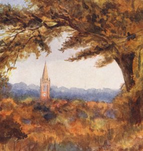 New Forest: Lyndhurst Kirche vom Cut Walk, November von Alice Julia Argles
