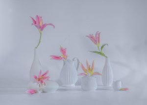  von Alice Sheng
