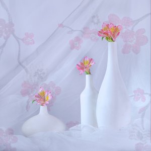  von Alice Sheng