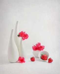  von Alice Sheng