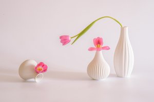 von Alice Sheng