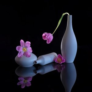  von Alice Sheng