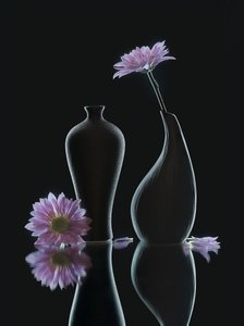  von Alice Sheng