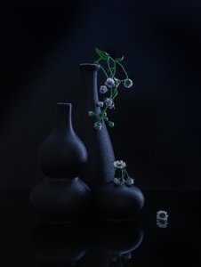  von Alice Sheng