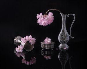 von Alice Sheng