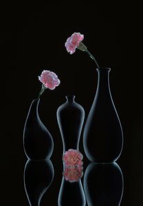  von Alice Sheng
