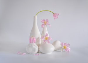  von Alice Sheng