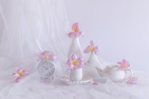  von Alice Sheng
