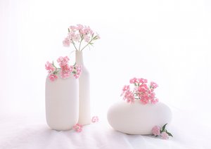  von Alice Sheng