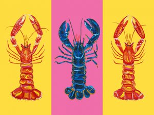 Hummer Langoustinen Pop Art 2
