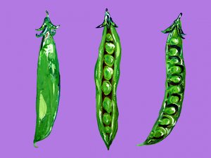 Lebendige grüne Erbsen